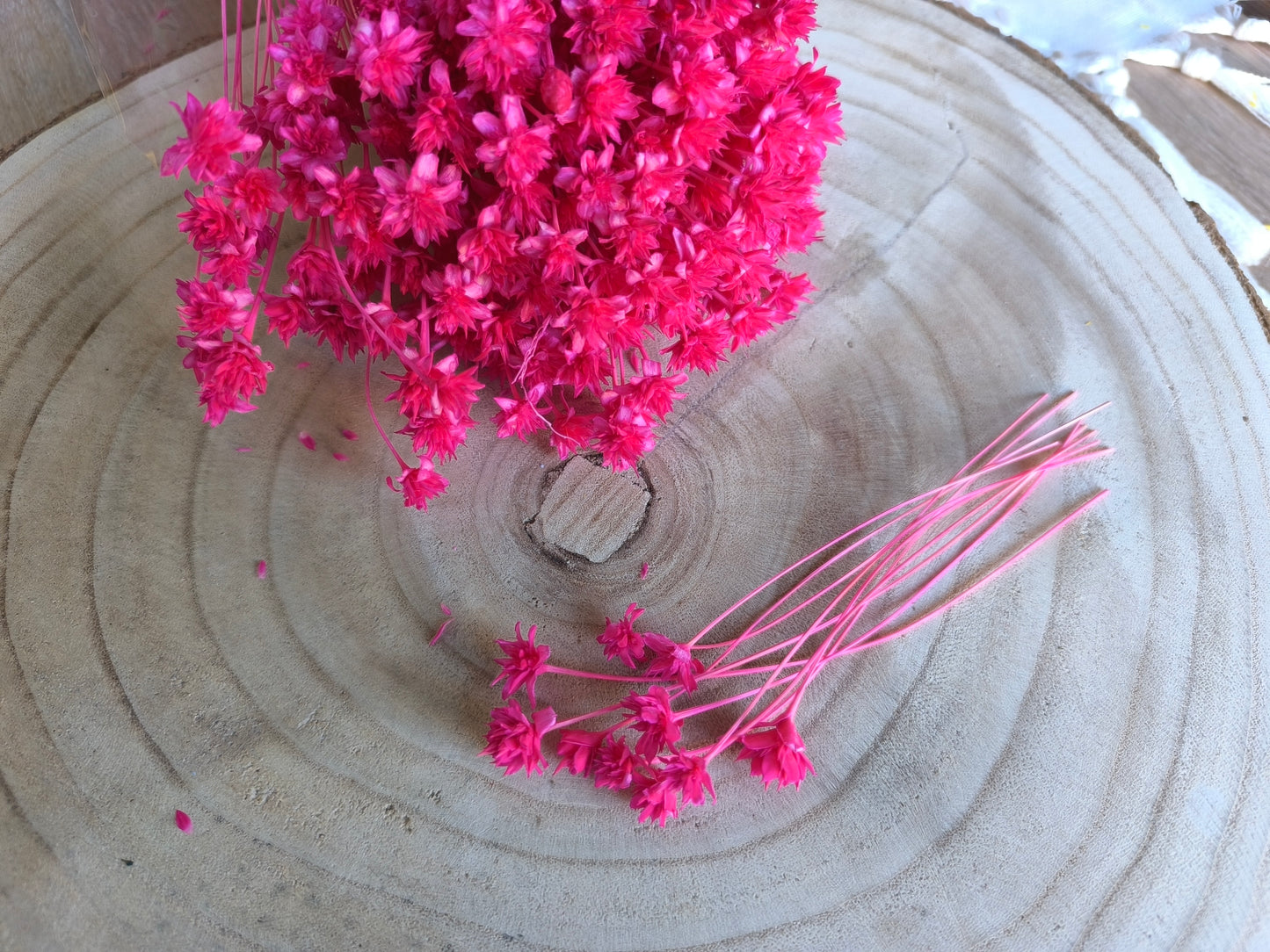 Hillis | Knallpink