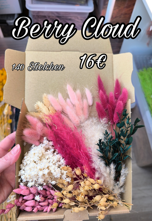 Kleine Box: Berry Cloud
