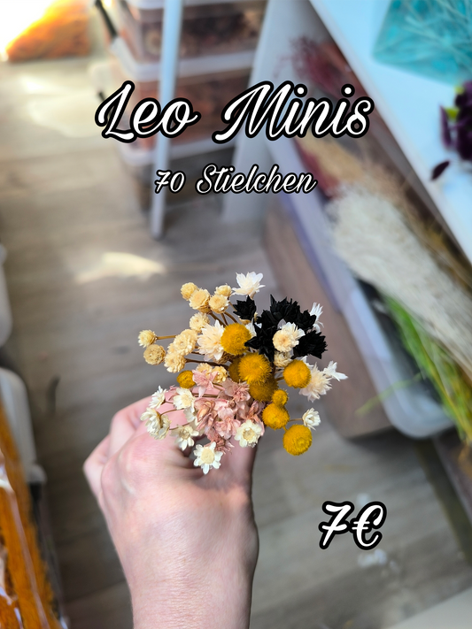 Leo Minis