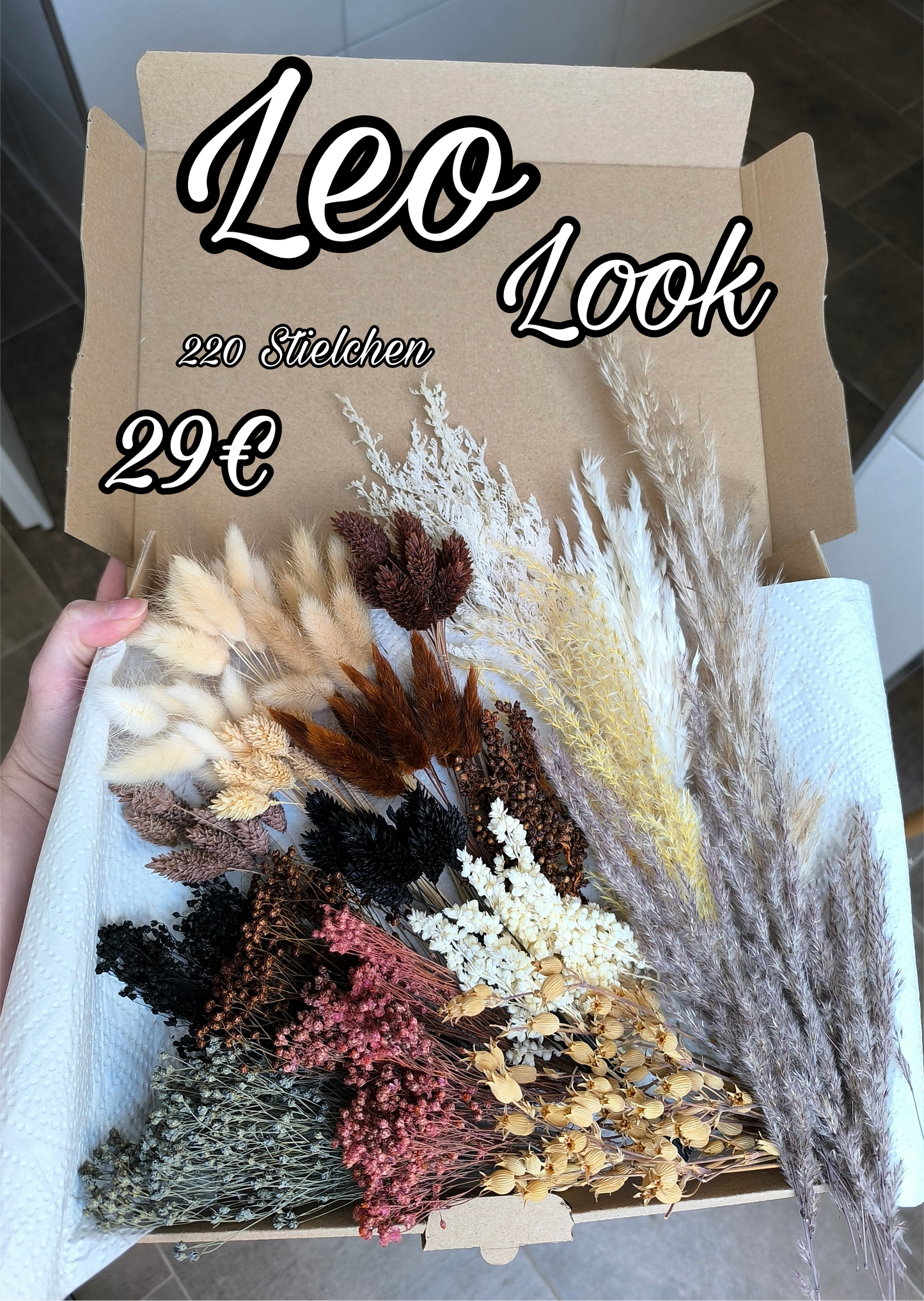 Leo Look