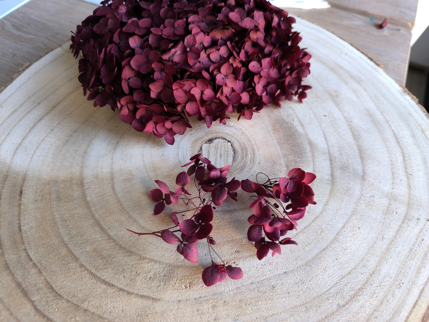 Hortensie | Berry