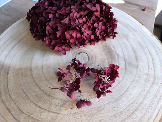 Hortensie | Berry