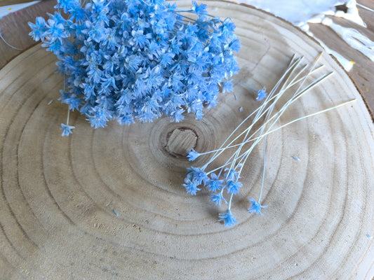 Hillis | Hellblau