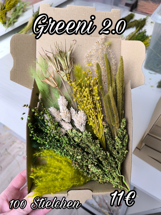 Box | Greeni 2.0